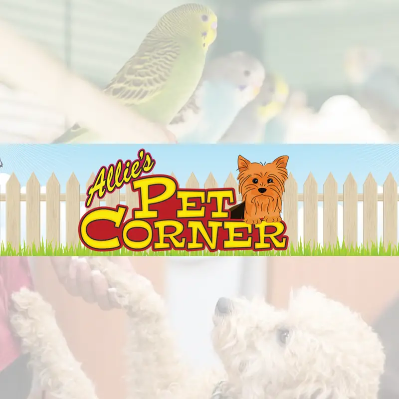 Company logo of Allie's Pet Corner