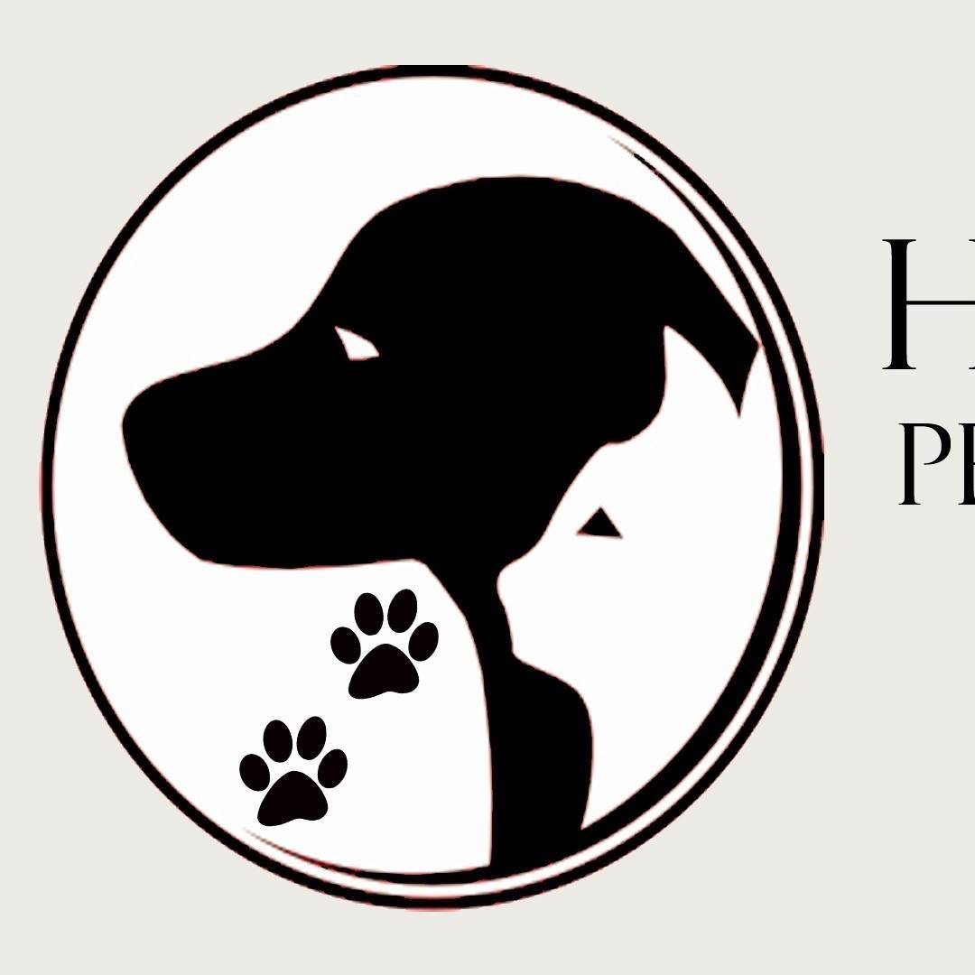 Company logo of Healthy Choice Pet Supply & Grooming