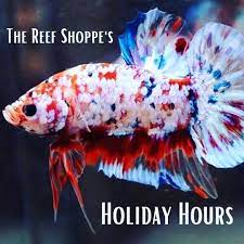 The Reef Shoppe