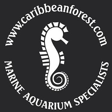 Company logo of Caribbean Forest LLC
