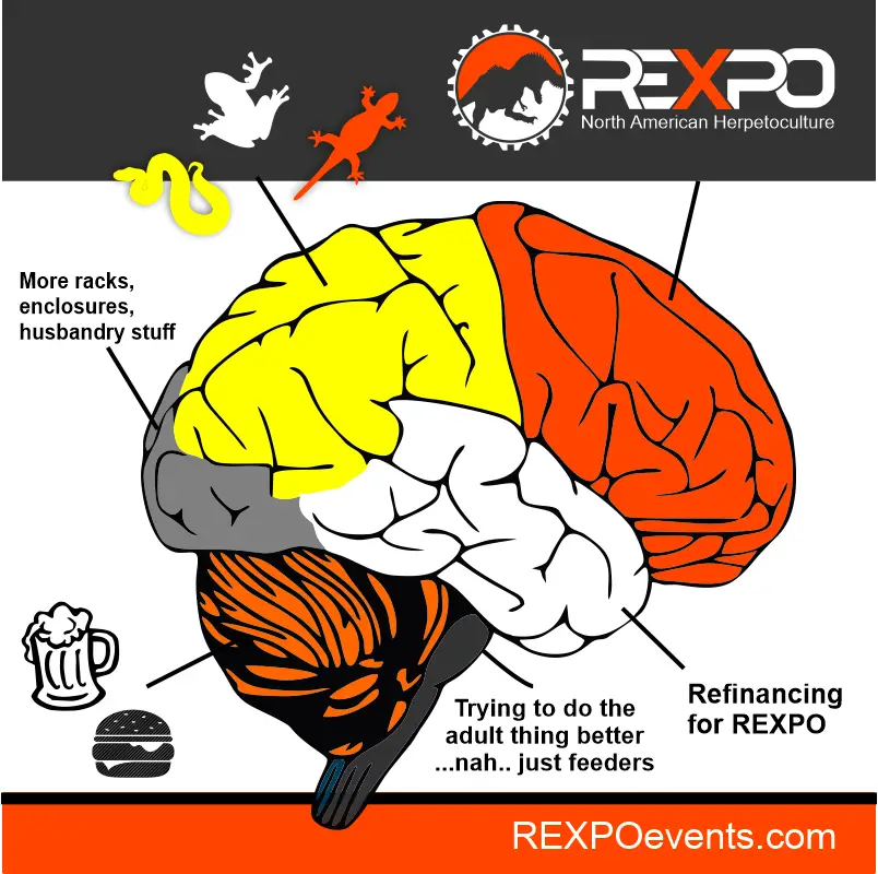 REXPO • Reptile Events