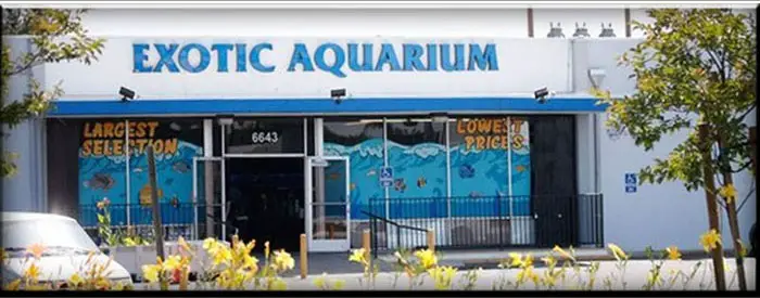 Company logo of Exotic Aquarium