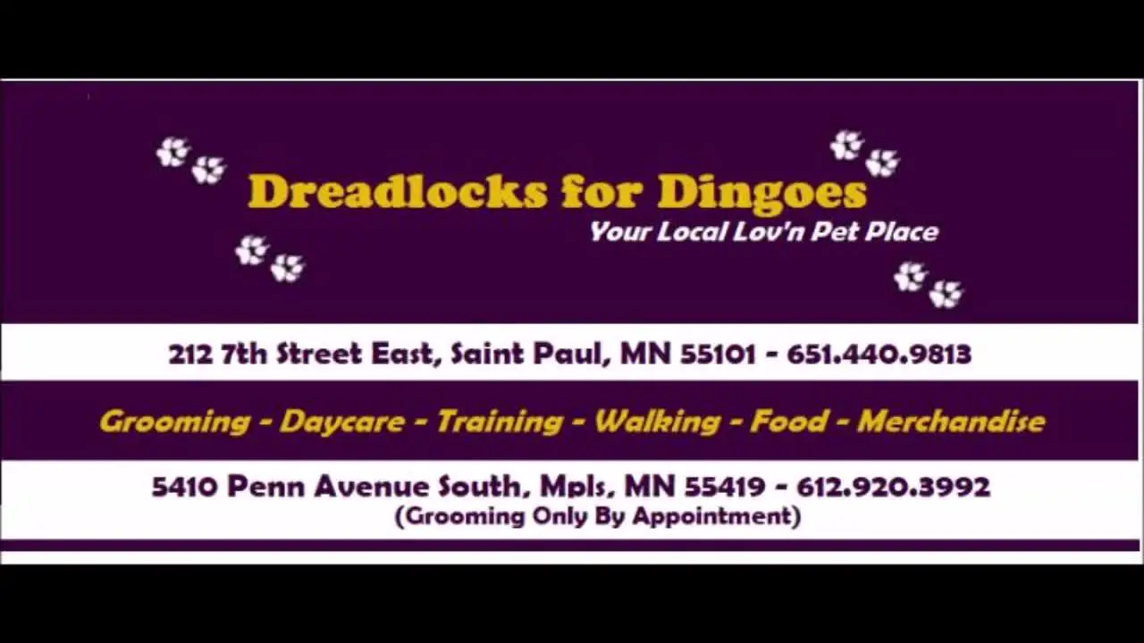 Company logo of Dreadlocks for Dingoes Your Local Lov'n Pet Place Daycare , Grooming, Training, Supplies