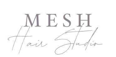Company logo of Mesh Hair Studio