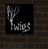 Company logo of Twigs Hair Salon