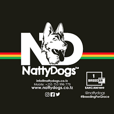 Company logo of Natty Dogs