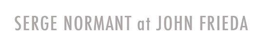 Company logo of Serge Normant