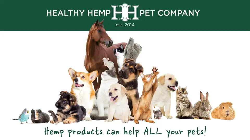 Healthy Hemp Pet Company