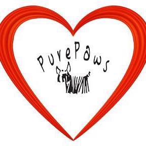 Company logo of Pure Paws Inc
