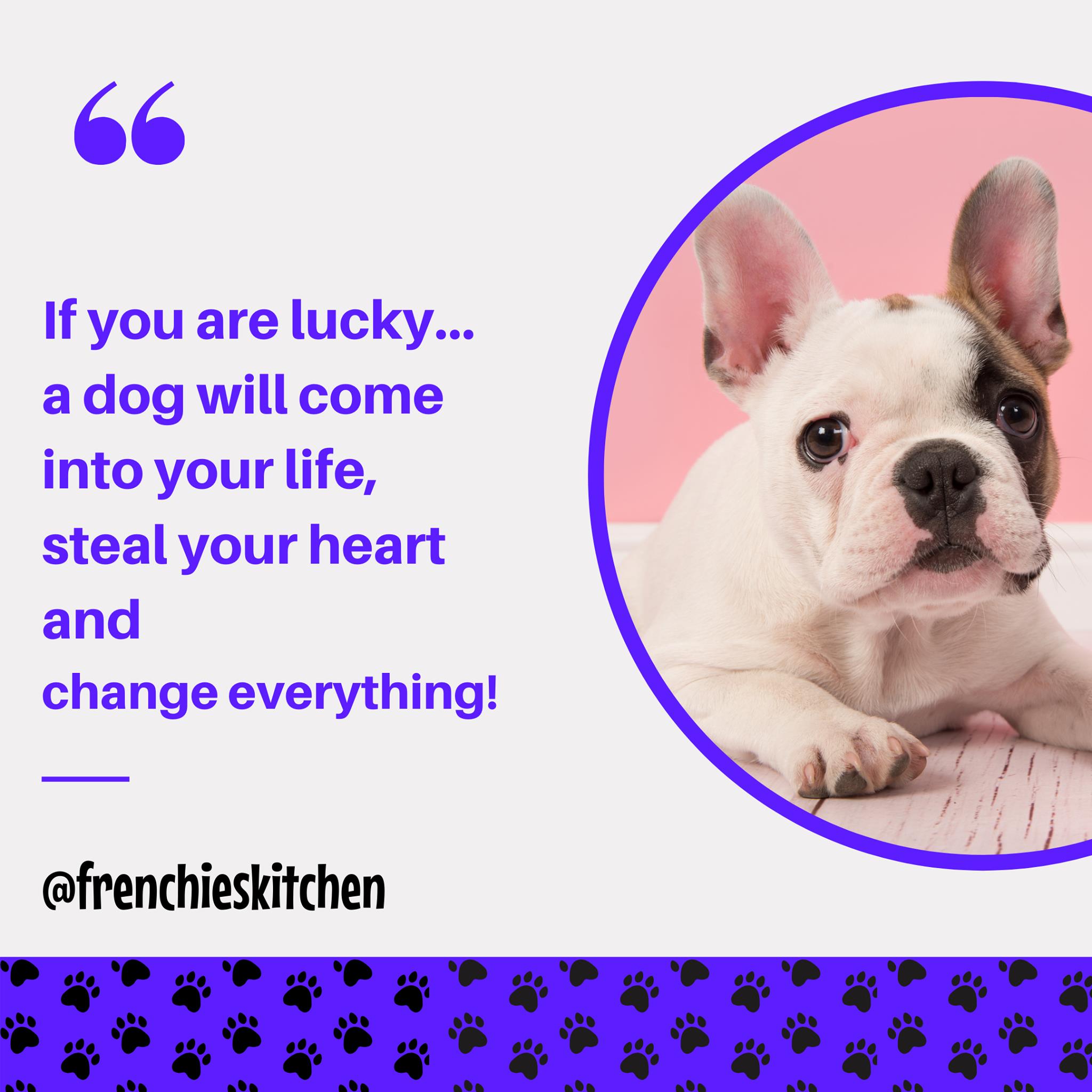 Frenchie's Kitchen Dog Food Company