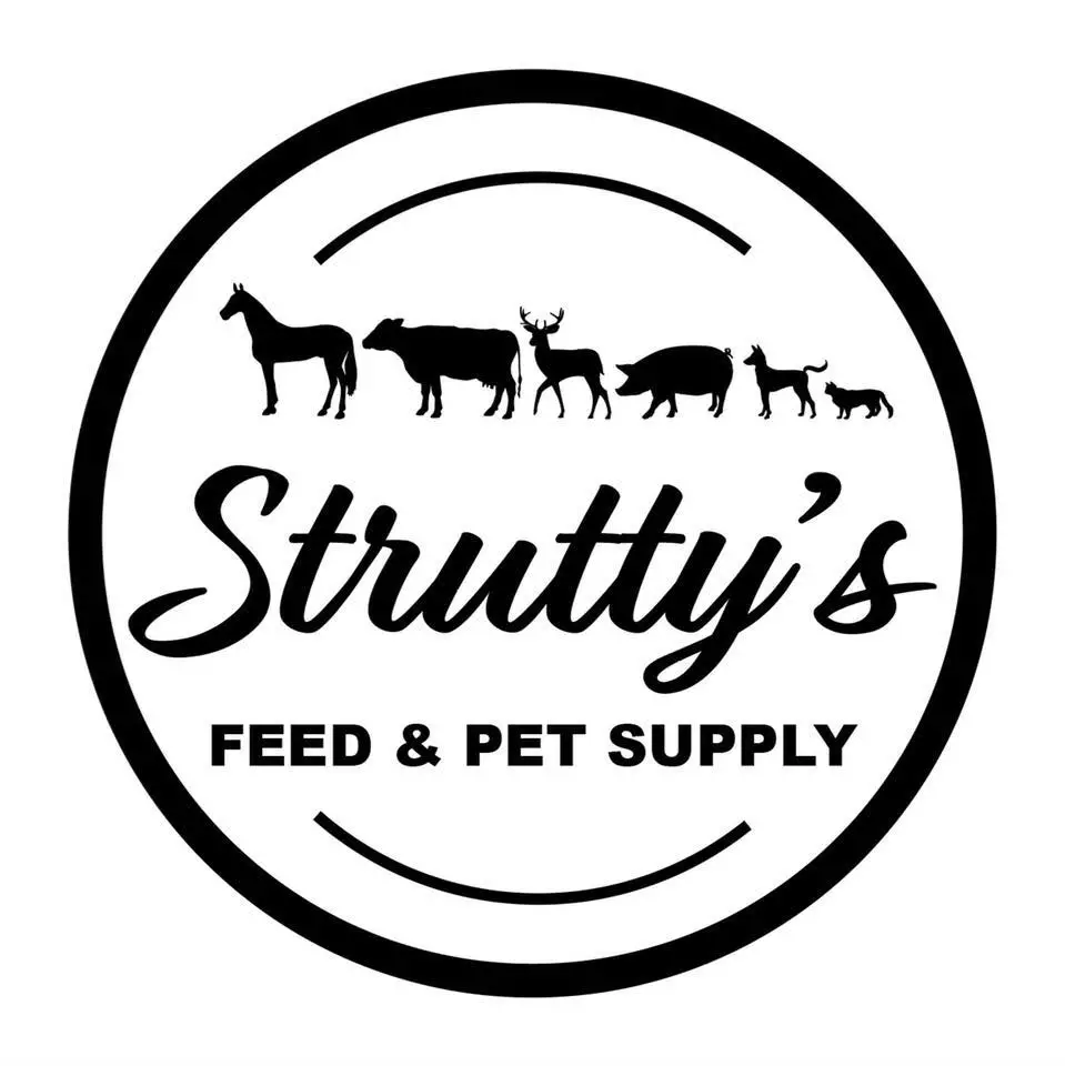 Company logo of Strutty's Feed and Pet Supply