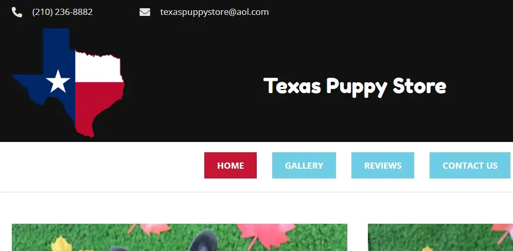 Company logo of texas puppy store