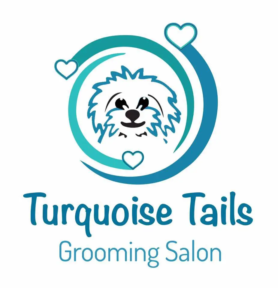 Company logo of Turquoise Tails