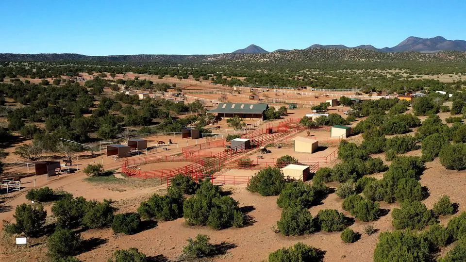 The Horse Shelter Resale Store