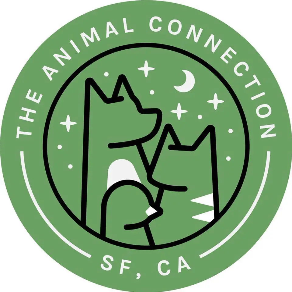 Company logo of The Animal Connection