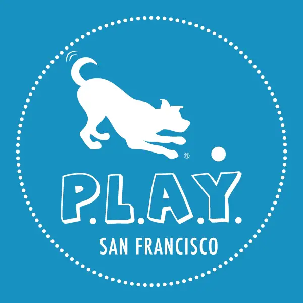 Company logo of P.L.A.Y. PET LIFESTYLE AND YOU