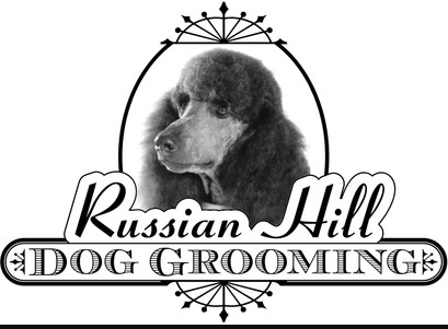 Company logo of Russian Hill Dog Grooming Express