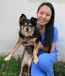 South Bay Animal Hospital & Pet Resort