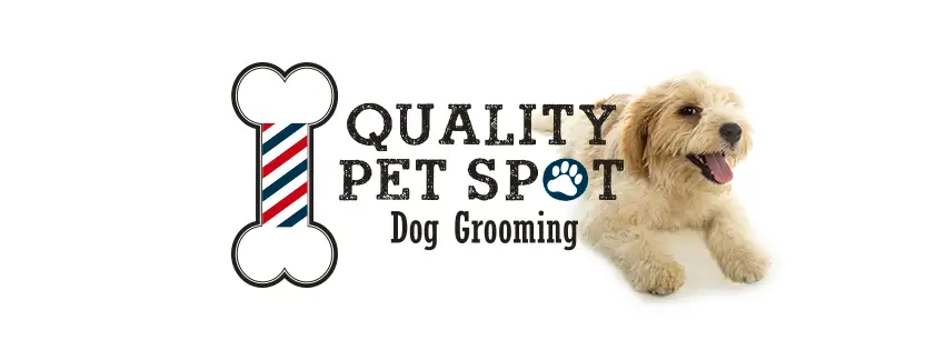Company logo of Quality Pet Spot Hillsdale