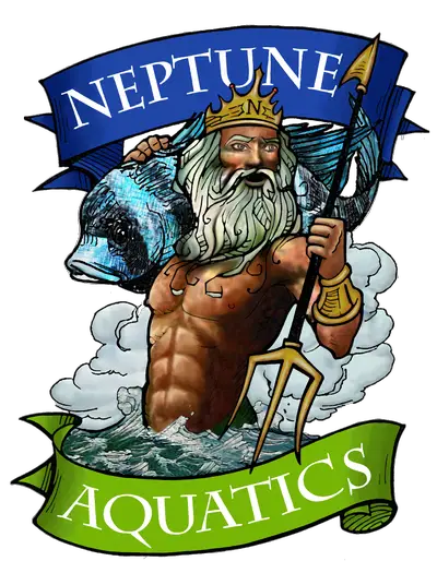 Company logo of Neptune Aquatics