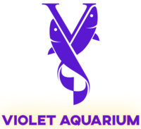 Company logo of Violet Aquarium LLC
