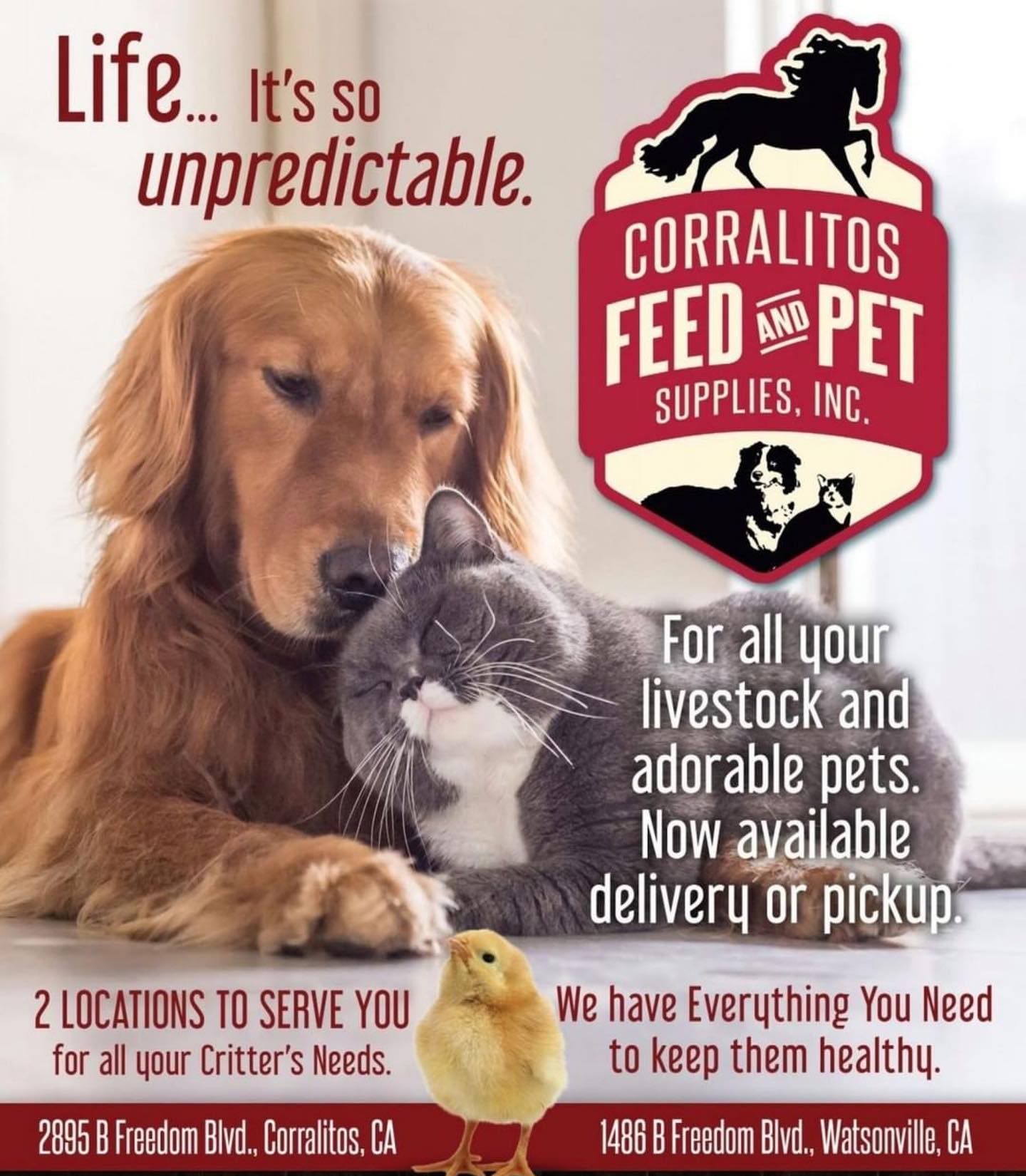 Corralitos Feed & Pet Supplies