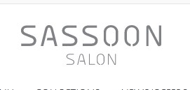Company logo of Sassoon Salon