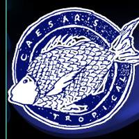 Company logo of Caesar's Tropical Fish Factory