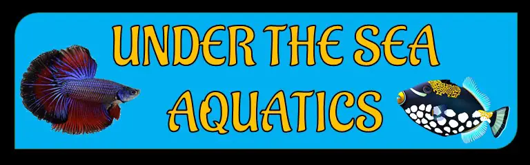 Company logo of Under the Sea Aquatics