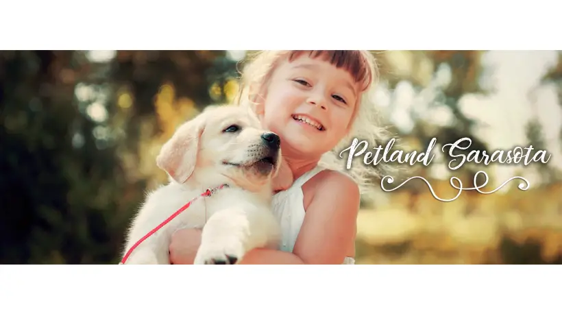 Petland