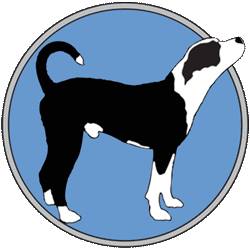 Company logo of The Artful Canine