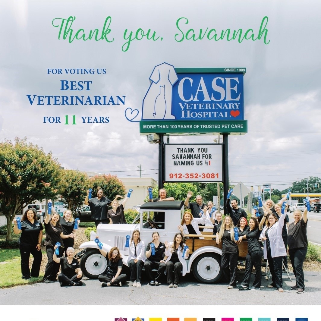 Case Veterinary Hospital