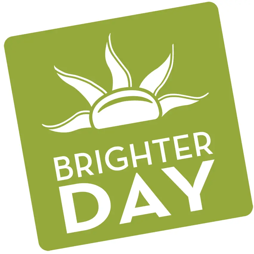 Company logo of Brighter Day Natural Foods