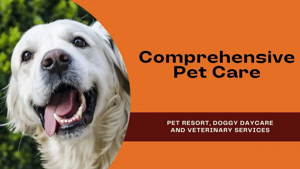 Raintree Pet Resort + Medical Center - Vet / Dog Daycare / Boarding in Scottsdale