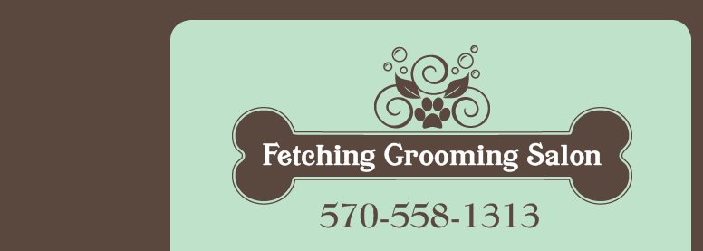 Company logo of Fetching Grooming Salon