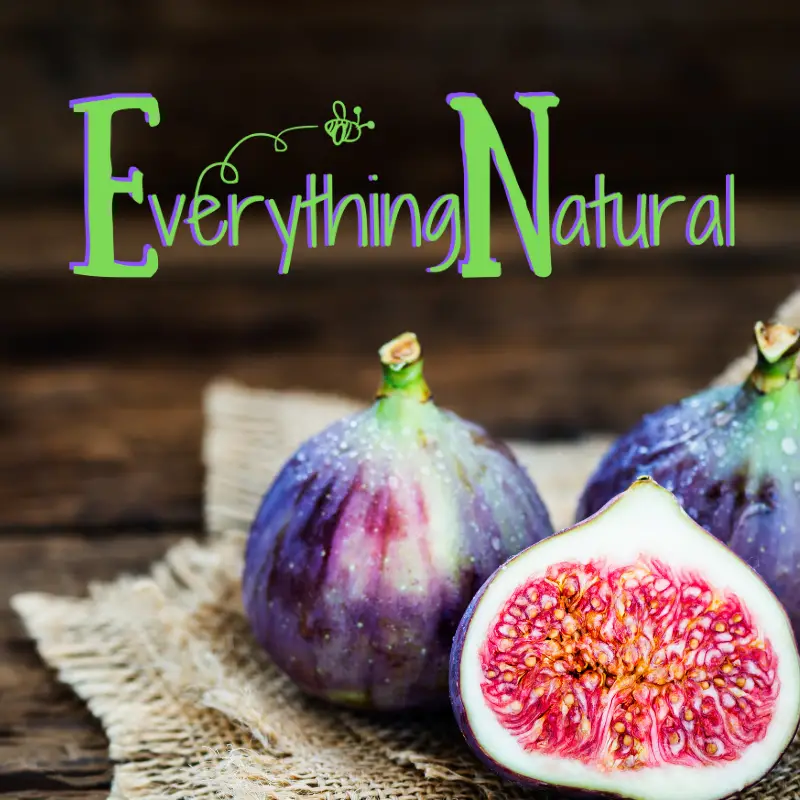 Company logo of Everything Natural
