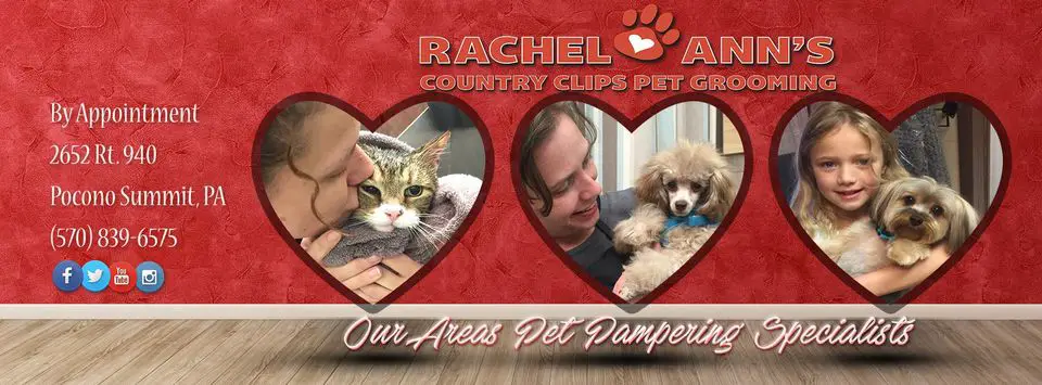 Rachel Ann's Country Clips Pet Grooming