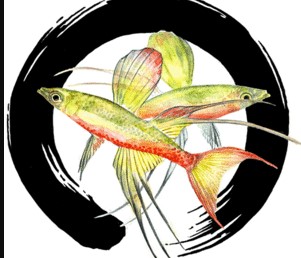 Company logo of Aquarium Zen