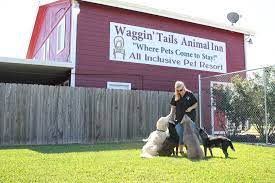 Tails-A-Waggin' Dog & Cat Inn