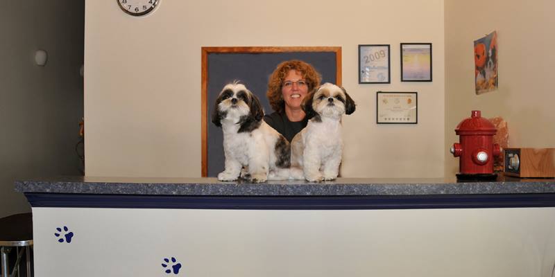 City Paws Pet Salon