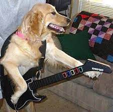 Running Dog Guitars