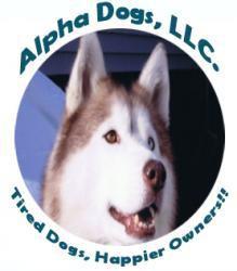 Company logo of Alpha Dogs