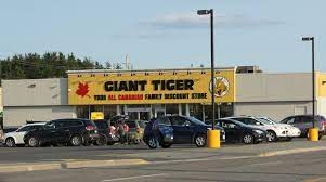 Bargain Giant Inc