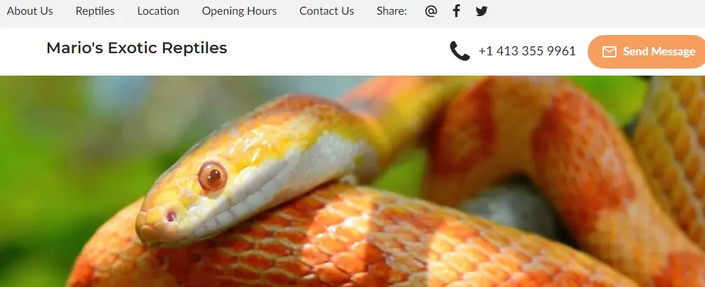 Company logo of Mario's Exotic Reptiles