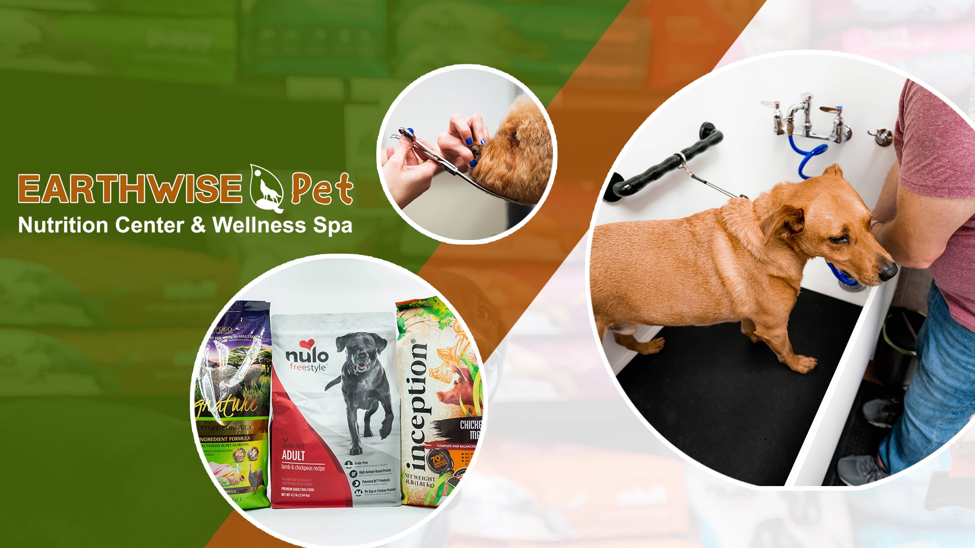 EarthWise Pet Supply & Grooming Creve Coeur