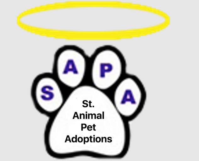 Company logo of The SAPA Store
