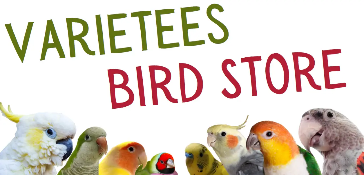 Company logo of Varietees Exotic Bird Store