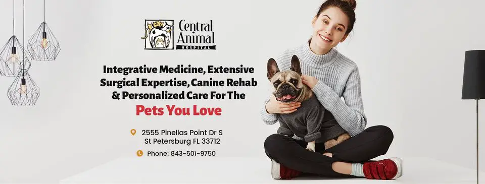 Central Animal Hospital