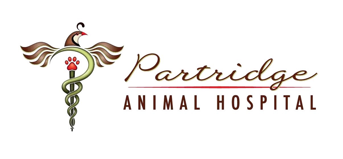Company logo of Partridge Animal Hospital