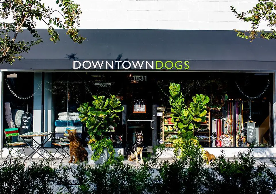 Downtown Dogs